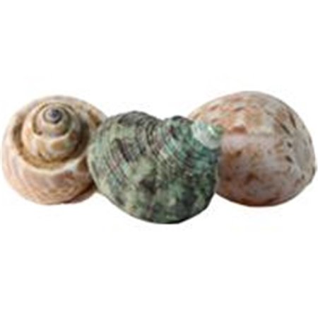 FLUKERS Flukers 012190 Hermit Headquarters Hermit Crab Growth Shells - Medium 12190